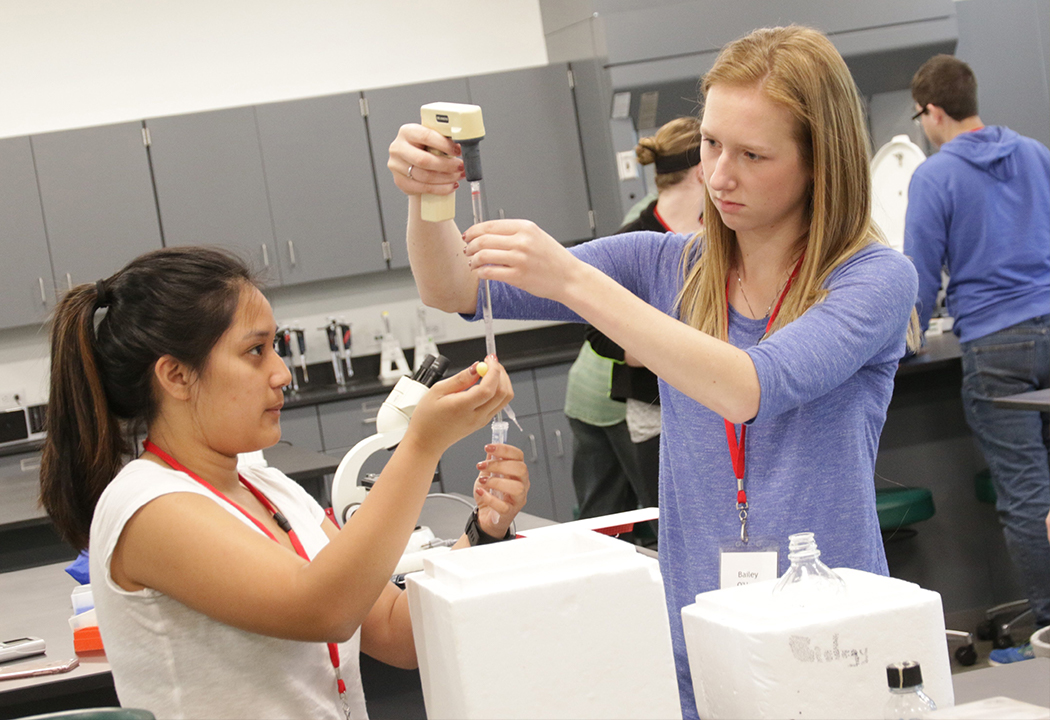 Exploring the possibilities of regenerative medicine