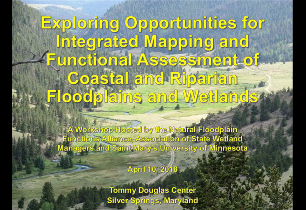 GeoSpatial Services director presents at national meeting