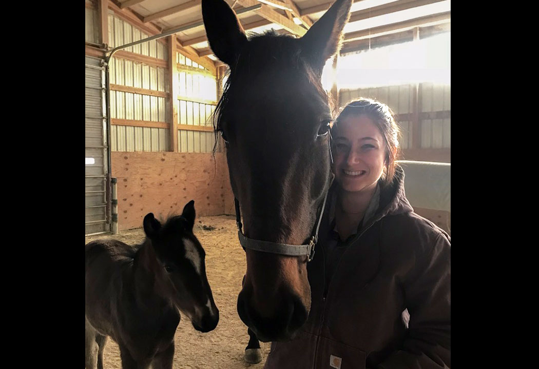 Biology student takes hands-on approach to vet experience