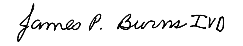 Message of reflection and planning from Father Burns