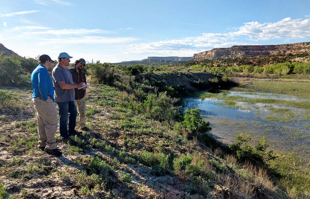 GeoSpatial Services continues work during pandemic, employs students and staff
