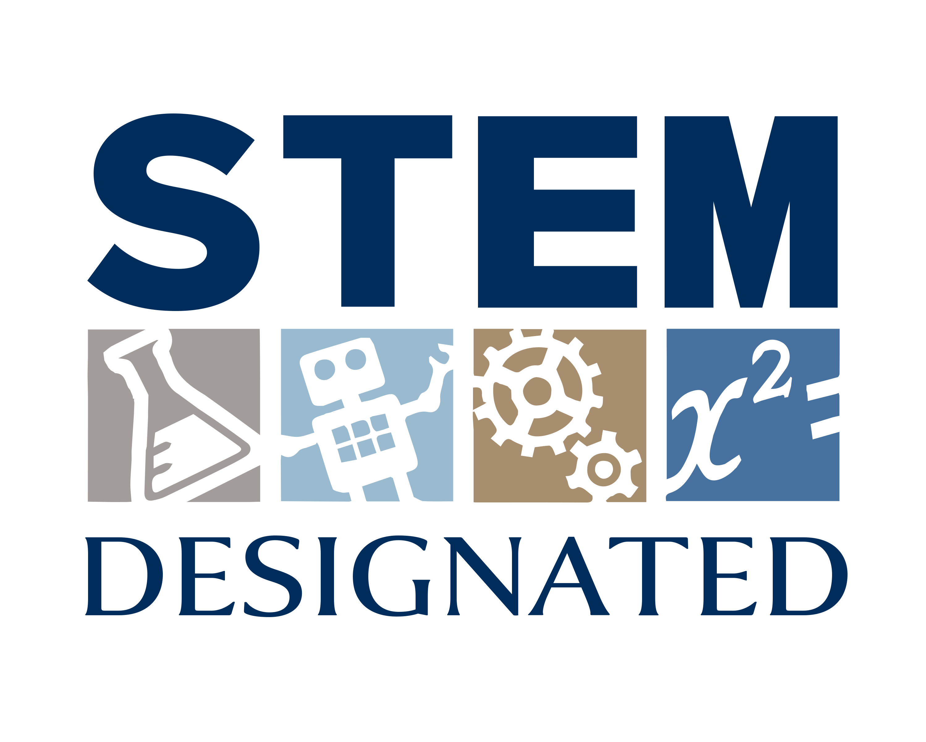 STEM logo