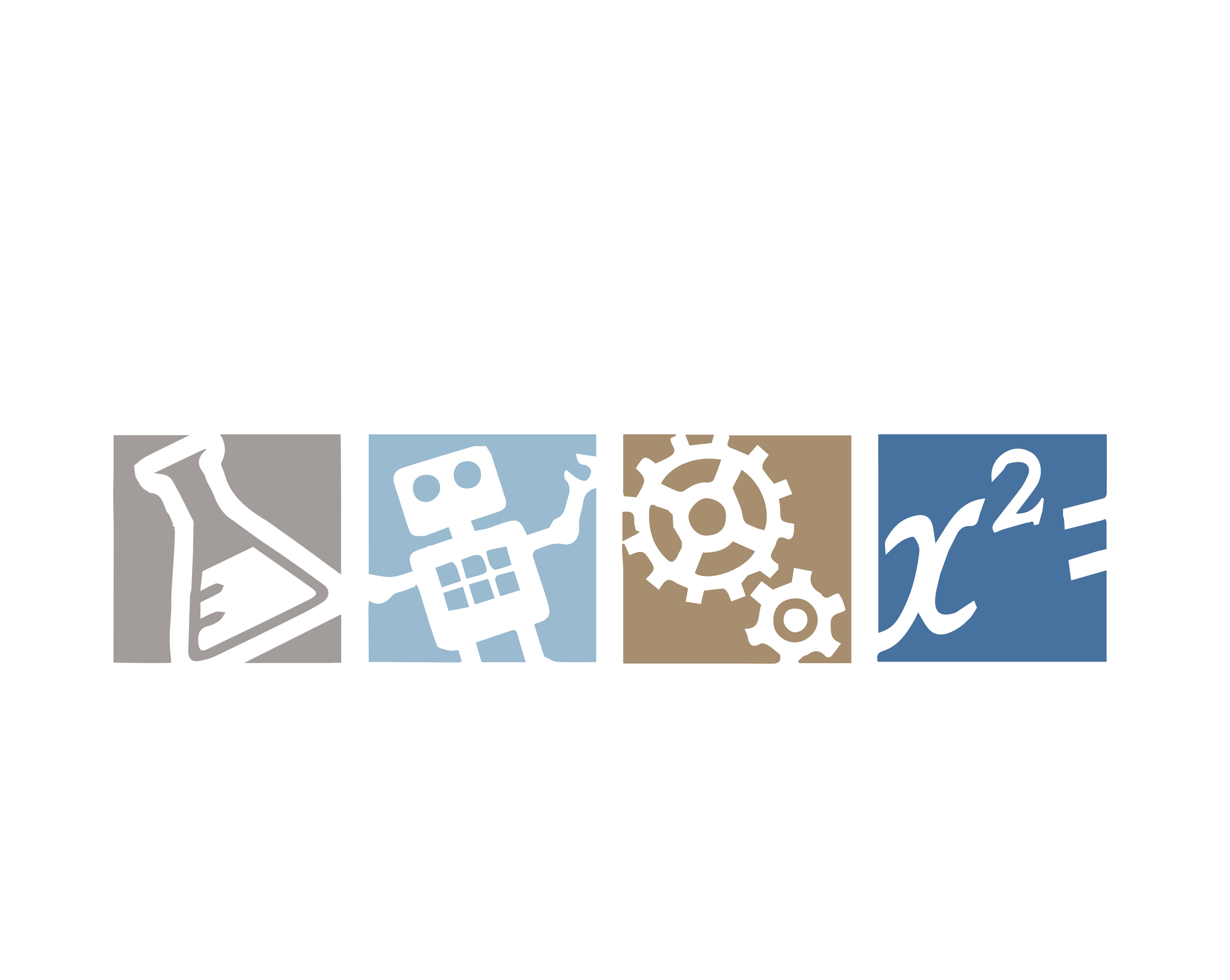 STEM logo