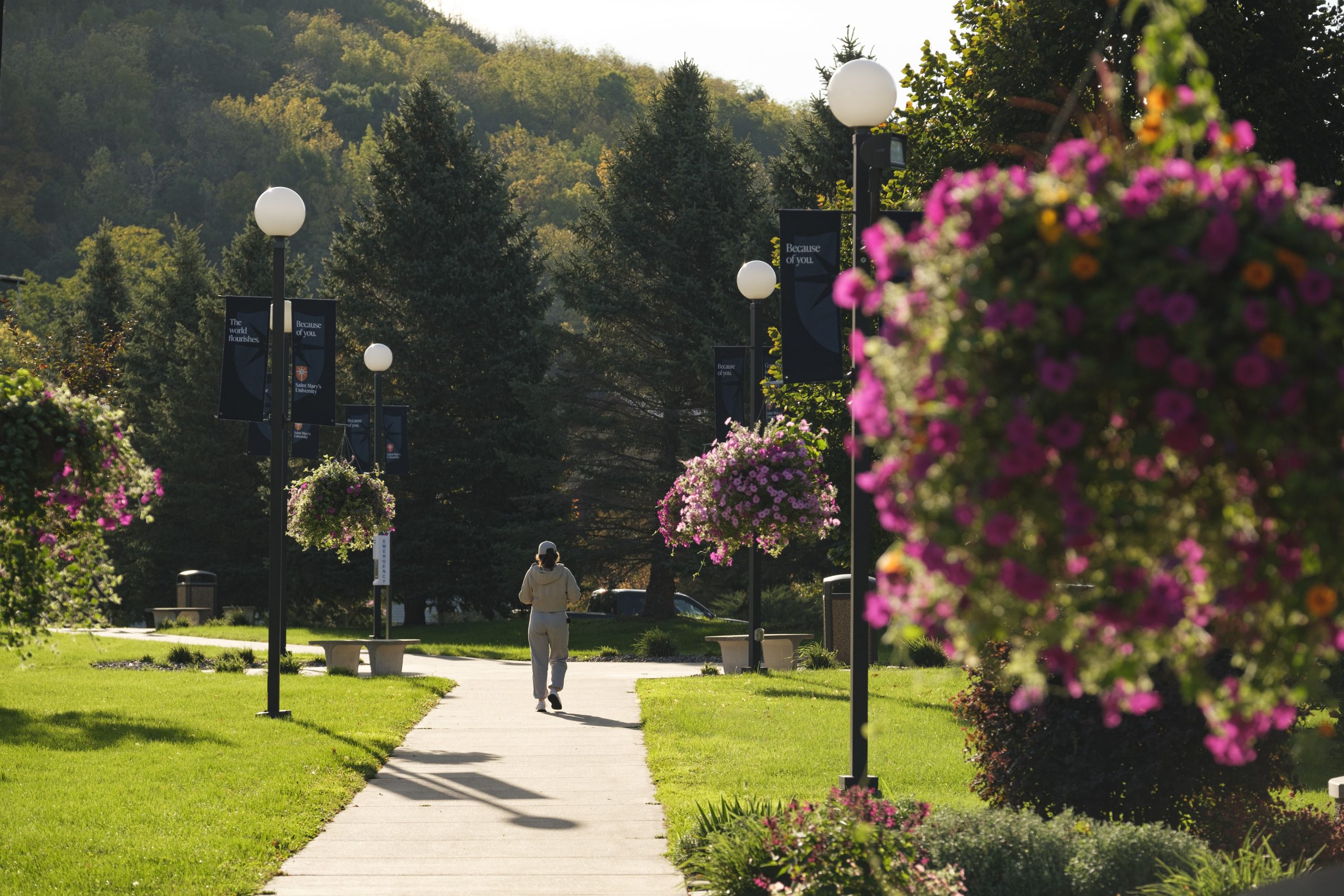 student walking on sidewalk with light posts and hanging baskets along both sides.