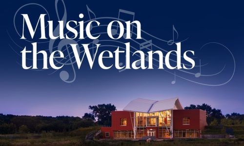 Music on the Wetlands