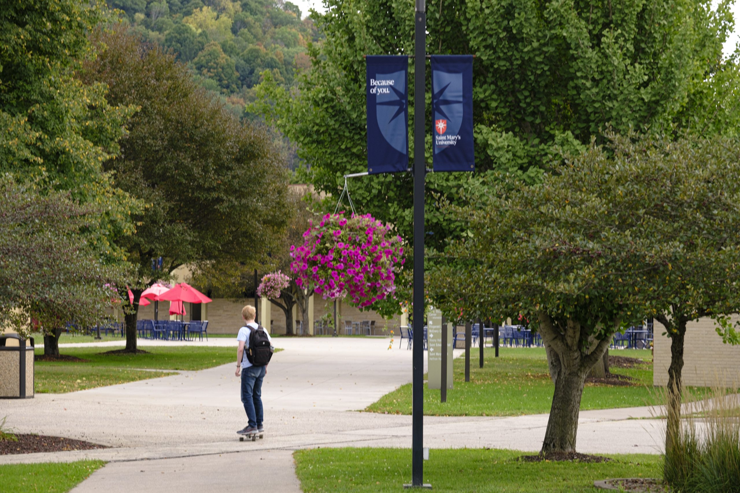 Student on skateboard outdoors on pavement, surrounded by trees on both sides on a college campus.
