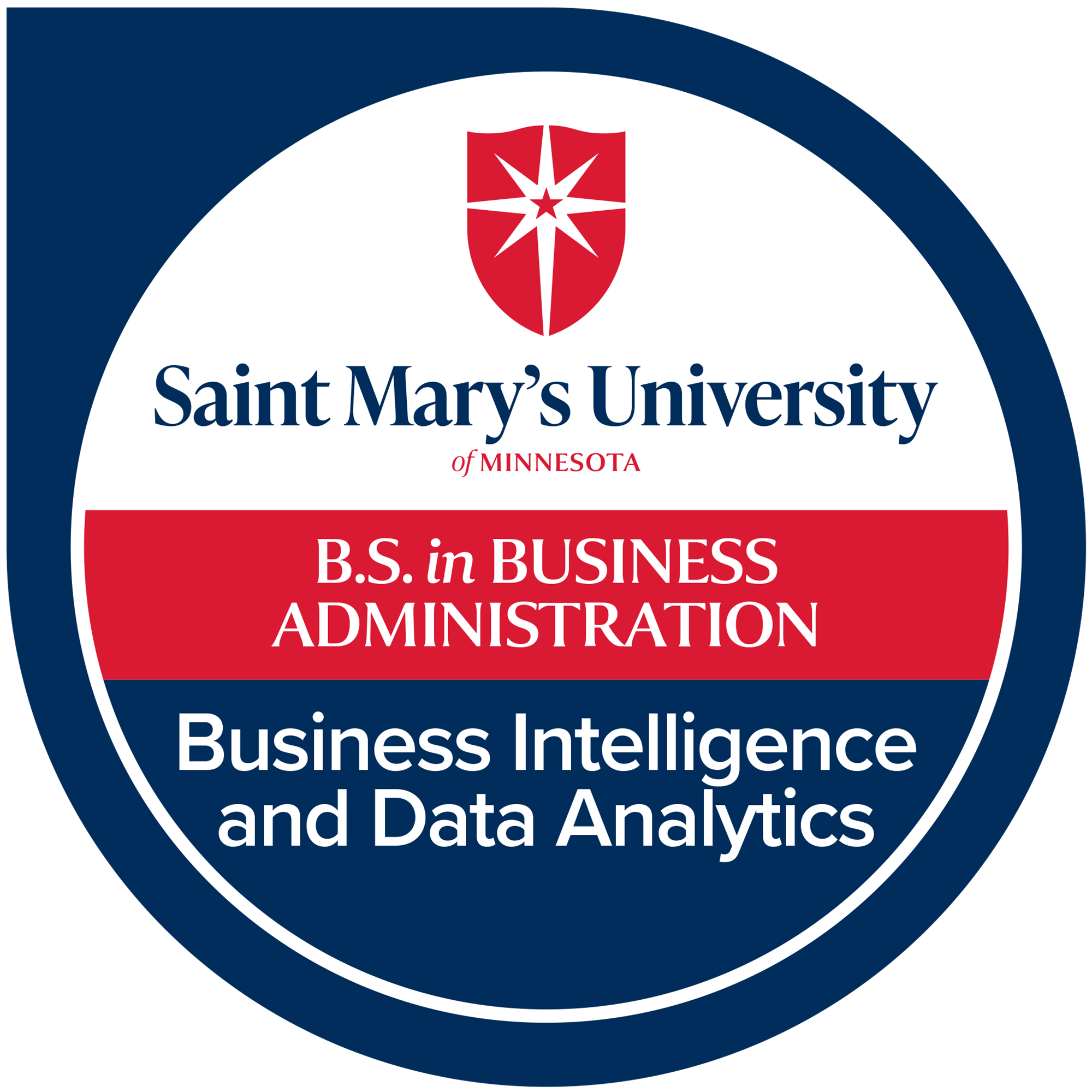 Business Intelligence and Data Analytics