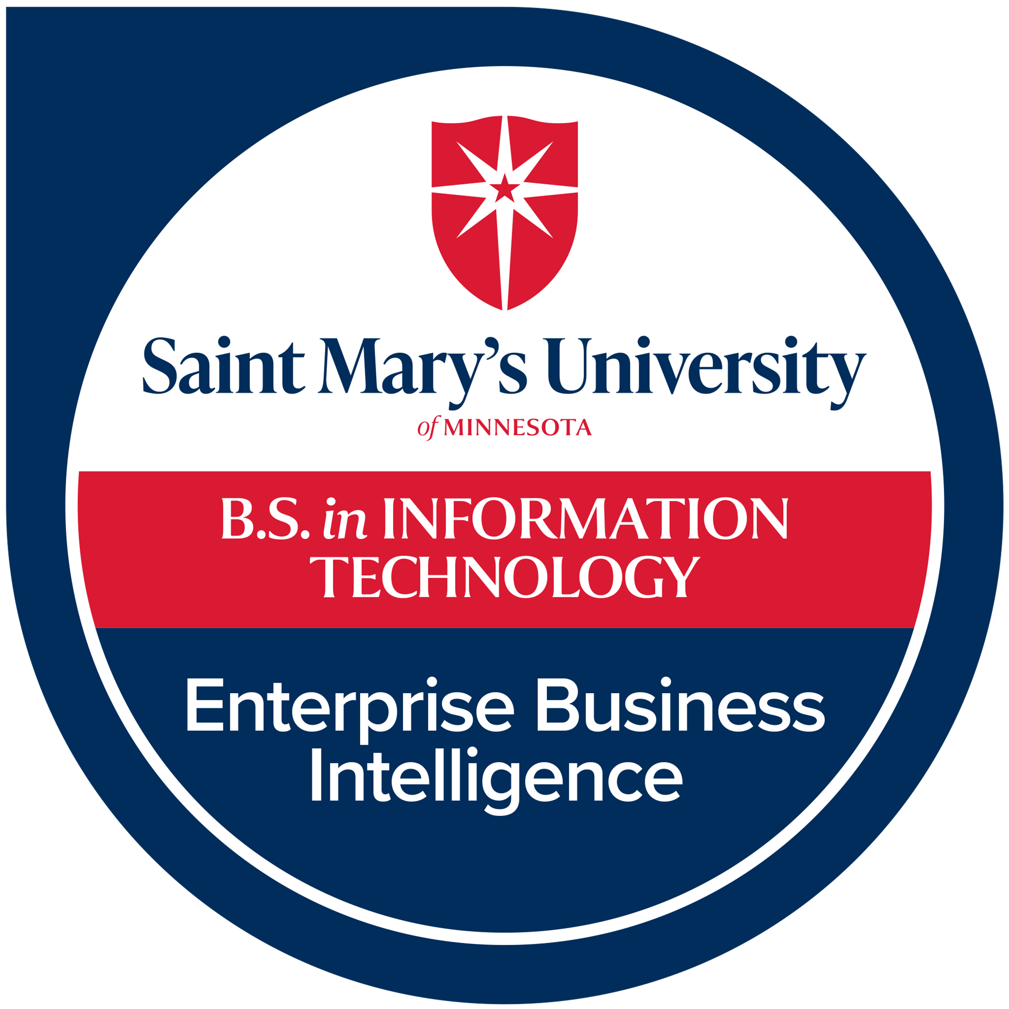 Enterprise Business Intelligence